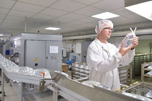 探寻松江食品厂与日用杂品的分布指南