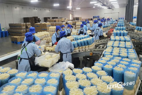 工厂化种植食用菌 规模化供应与日用杂品市场的融合新机遇